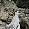 三浦海岸