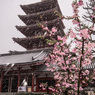 「雪降る浅草寺」-3