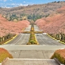 桜道 ～富士霊園～