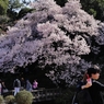 ふたりの春