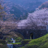 霞間ヶ渓（かまがたに）の桜