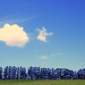 大地の空　　2007北海道美瑛