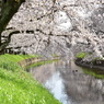 穏やかな春の日差しを浴びて