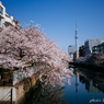 ４月なれば