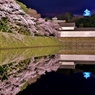 彦根城春夜景ライト