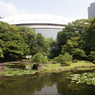 東京ドームと後楽園