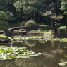 石橋