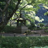 灯籠