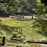 田んぼ全景