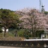 懐かしい