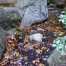 もみじ川