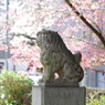 狛犬_新井天神北野神社