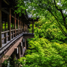 九年前の東福寺通天橋