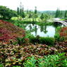 東南植物楽園