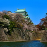 名古屋城