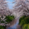 杭瀬川２