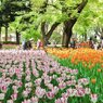 とうとう全国へ　昨年の横浜公園より6