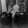 「Olympus OM-10 & OM2000」 (film)