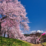 十年前の烏帽子山公園2