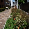 散歩道 －４