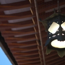 上野散策。