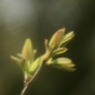 次の季節へ