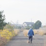 散歩