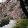 春の小川