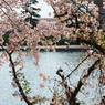 希望の光