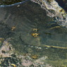 三浦海岸