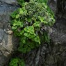 三浦海岸