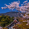 九年前の天龍寺
