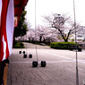 2020花見