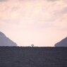 浮島