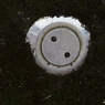 苔