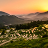 五年前の丸山千枚田