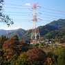 紅葉　　No.15