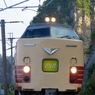 485系「いなほ」！