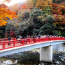 香嵐渓 待月橋