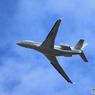 「空色」Private ダッソウファルコン　飛び立ちです