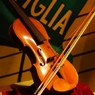 TDS　バイオリン