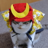自粛で、ござる。