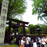 2019年根津神社つつじまつり：鳥居