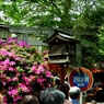 2019年根津神社つつじまつり：千本鳥居近辺