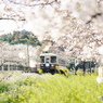 春の駅舎　停車中１