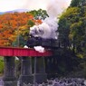 紅葉の橋を渡るSL