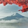 霧晴れて