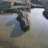 三浦海岸