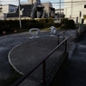 朝の散歩道 －４