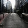 朝の散歩道 －６